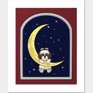 Shih Tzu (Moonlight) Posters and Art